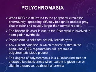 Polychromic Rbc Peripheral smear | PPTX