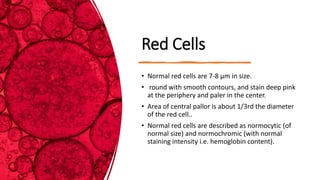 Red Periphery peripheral smear. DMLT.pptx