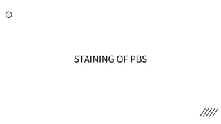 STAINING OF PBS
 