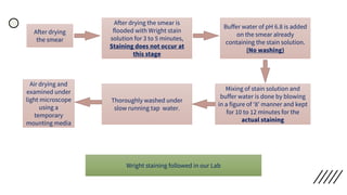 After drying
the smear
After drying the smear is
flooded with Wright stain
solution for 3 to 5 minutes,
Staining does not occur at
this stage
Buffer water of pH 6.8 is added
on the smear already
containing the stain solution.
(No washing)
Mixing of stain solution and
buffer water is done by blowing
in a figure of ‘8’ manner and kept
for 10 to 12 minutes for the
actual staining
Thoroughly washed under
slow running tap water.
Air drying and
examined under
light microscope
using a
temporary
mounting media
Wright staining followed in our Lab
 