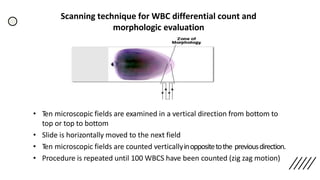 • Ten microscopic fields are examined in a vertical direction from bottom to
top or top to bottom
• Slide is horizontally moved to the next field
• Ten microscopic fields are counted verticallyinoppositetothe previousdirection.
• Procedure is repeated until 100 WBCS have been counted (zig zag motion)
Scanning technique for WBC differential count and
morphologic evaluation
 