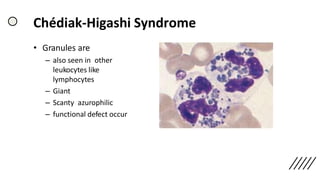 Chédiak-Higashi Syndrome
• Granules are
– also seen in other
leukocytes like
lymphocytes
– Giant
– Scanty azurophilic
– functional defect occur
 