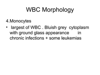 WBC Morphology
4.Monocytes
• largest of WBC . Bluish grey cytoplasm
with ground glass appearance in
chronic infections + some leukemias
 