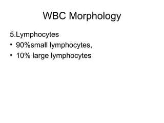 WBC Morphology
5.Lymphocytes
• 90%small lymphocytes,
• 10% large lymphocytes
 
