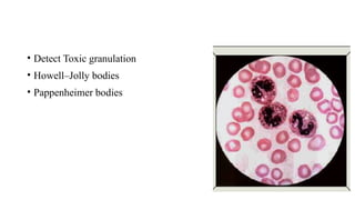• Detect Toxic granulation
• Howell–Jolly bodies
• Pappenheimer bodies
 