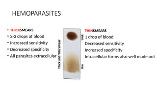 HEMOPARASITES
• THICKSMEARS
• 2-3 drops of blood
• Increased sensitivity
• Decreased specificity
• All parasites extracellular
• THINSMEARS
• 1 drop of blood
• Decreased sensitivity
• Increased specificity
• Intracellular forms also well made out
 