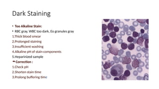 Dark Staining
• Too Alkaline Stain:
• RBC gray, WBC too dark, Eo granules gray
1.Thick blood smear
2.Prolonged staining
3.Insufficient washing
4.Alkaline pH of stain components
5.Heparinized sample
Correction :
1.Check pH
2.Shorten stain time
3.Prolong buffering time
 
