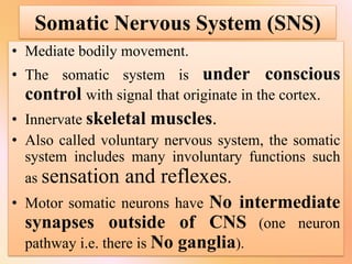 peripheral system of nervous system ..pdf