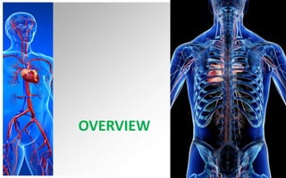 Peripheral vascular disease | PPTX