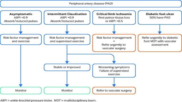 Peripheral vascular disease | PDF