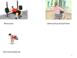 Bench press Lateral pull up and pull down
Bent over/seated row
25
 