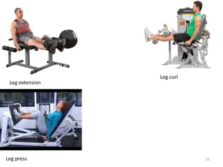 Leg extension
Leg curl
Leg press 26
 