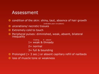 Assessment
 