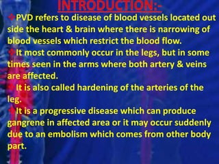 Pvd Peripheral vasculer disease | PPTX