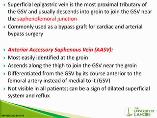 Gsv Course Radiology Peripheral venous usg 1.pdf ultrasount vasulr 2 | PDF