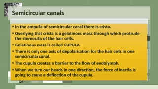 Peripheral vestibular mechanisms | PPSX
