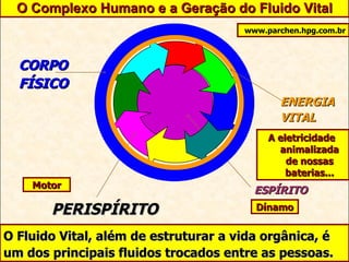 O Complexo Humano e a Geração do Fluido Vital O Fluido Vital, além de estruturar a vida orgânica, é um dos principais fluidos trocados entre as pessoas. www.parchen.hpg.com.br Dínamo Motor A eletricidade  animalizada de nossas baterias... ESPÍRITO PERISPÍRITO CORPO FÍSICO ENERGIA VITAL 