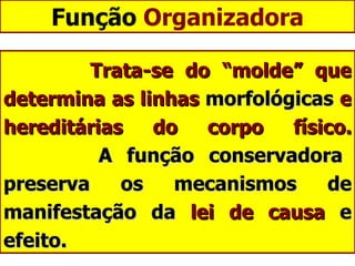 Função  Organizadora Trata-se do “molde” que determina as linhas  morfológicas  e hereditárias do corpo físico.   A função conservadora preserva os mecanismos de manifestação da  lei de causa  e efeito. 