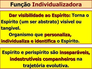 Função  Individualizadora Dar visibilidade ao Espírito:  Torna o Espírito (um ser abstrato) visível ou tangível.    Organismo que  personaliza, individualiza e identifica  o Espírito. Espírito e perispírito são  inseparáveis, indestrutíveis companheiros  na trajetória evolutiva. 