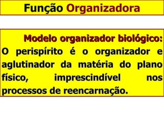 Função  Organizadora Modelo organizador biológico:  O perispírito é o organizador e aglutinador da matéria do plano físico, imprescindível nos processos de reencarnação. 