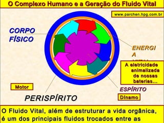 ESPÍRITOESPÍRITO
PERISPÍRITOPERISPÍRITO
CORPOCORPO
FÍSICOFÍSICO
ENERGIENERGI
AA
VITALVITAL
O Complexo Humano e a Geração do Fluido VitalO Complexo Humano e a Geração do Fluido Vital
O Fluido Vital, além de estruturar a vida orgânica,O Fluido Vital, além de estruturar a vida orgânica,
é um dos principais fluidos trocados entre asé um dos principais fluidos trocados entre as
www.parchen.hpg.com.br
DínamoDínamo
MotorMotor
A eletricidadeA eletricidade
animalizadaanimalizada
de nossasde nossas
baterias...baterias...
 