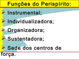 Funções do Perispírito:
 Instrumental;
 Individualizadora;
 Organizadora;
 Sustentadora;
 Sede dos centros de
força.
 