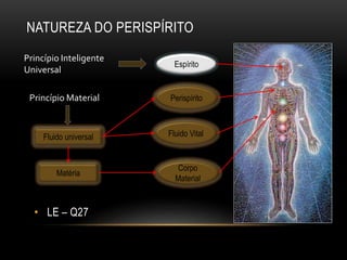 NATUREZA DO PERISPÍRITO
• LE – Q27
Espírito
Fluido universal
Perispírito
Fluido Vital
Corpo
Material
Princípio Inteligente
Universal
Princípio Material
Matéria
 