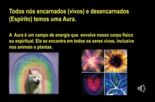 Todos nós encarnados (vivos) e desencarnados
(Espírito) temos uma Aura.
A Aura é um campo de energia que envolve nosso corpo físico
ou espiritual. Ela se encontra em todos os seres vivos, inclusive
nos animais e plantas.
 