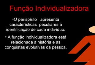 Função Individualizadora O perispírito  apresenta características  peculiares à identificação de cada indivíduo. A função individualizadora está relacionada à história e às conquistas evolutivas da pessoa. 