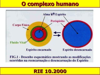 O complexo humano RIE 10.2000 