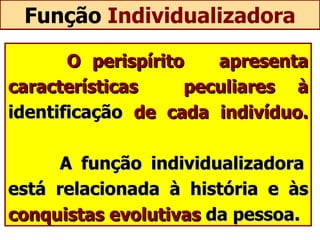 Função  Individualizadora O perispírito  apresenta características  peculiares à  identificação  de cada indivíduo.   A função individualizadora está relacionada à história e às  conquistas evolutivas  da pessoa. 