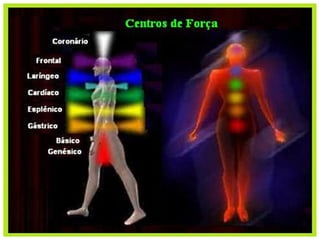 “[…] a anatomia do perispírito corresponde à
anatomia do corpo somático. Mesmo porque,
se aquele é matriz deste, este não pode ter
configurações anatômicas diferente daquele.”
(JOSÉ NÁUFEL, Do ABC ao infinito, p. 47).
 