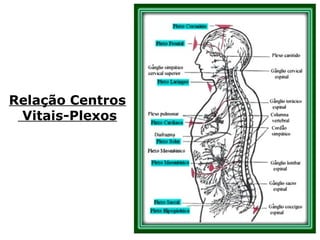 “O corpo perispiritual é portador de todas as
matrizes dos órgãos carnais, bem como par-
ticipante nas funções que o corpo físico ela-
bora. Estudar o corpo humano é estudar o
perispírito e vice-versa, lógico que não des-
vinculando tal estudo da atuação mental, co-
mo fator de harmonização ou desagregação
molecular dos mesmos.” (LUIZ G. PINHEIRO, O pe-
rispírito e suas modelações, p. 130-131).
 