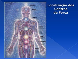 Localização dos
Centros
de Força
 