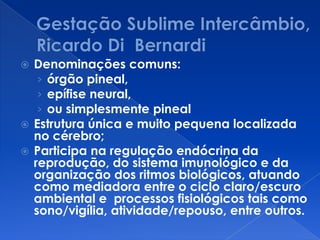  Denominações comuns:
› órgão pineal,
› epífise neural,
› ou simplesmente pineal
 Estrutura única e muito pequena localizada
no cérebro;
 Participa na regulação endócrina da
reprodução, do sistema imunológico e da
organização dos ritmos biológicos, atuando
como mediadora entre o ciclo claro/escuro
ambiental e processos fisiológicos tais como
sono/vigília, atividade/repouso, entre outros.
 