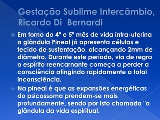 Em torno do 4º e 5º mês de vida intra-uterina
a glândula Pineal já apresenta células e
tecido de sustentação, alcançando 2mm de
diâmetro. Durante este período, via de regra
o espírito reencarnante começa a perder a
consciência atingindo rapidamente a total
inconsciência.
 Na pineal é que as expansões energéticas
do psicossoma prendem-se mais
profundamente, sendo por isto chamada "a
glândula da vida espiritual.
 