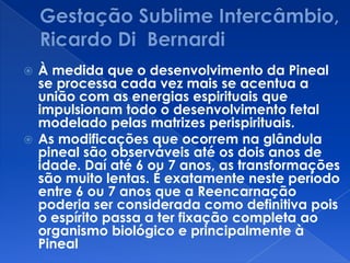  À medida que o desenvolvimento da Pineal
se processa cada vez mais se acentua a
união com as energias espirituais que
impulsionam todo o desenvolvimento fetal
modelado pelas matrizes perispirituais.
 As modificações que ocorrem na glândula
pineal são observáveis até os dois anos de
idade. Daí até 6 ou 7 anos, as transformações
são muito lentas. É exatamente neste período
entre 6 ou 7 anos que a Reencarnação
poderia ser considerada como definitiva pois
o espírito passa a ter fixação completa ao
organismo biológico e principalmente à
Pineal
 