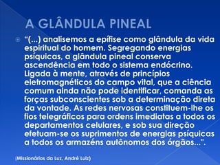  “(...) analisemos a epífise como glândula da vida
espiritual do homem. Segregando energias
psíquicas, a glândula pineal conserva
ascendência em todo o sistema endócrino.
Ligada à mente, através de princípios
eletromagnéticos do campo vital, que a ciência
comum ainda não pode identificar, comanda as
forças subconscientes sob a determinação direta
da vontade. As redes nervosas constituem-lhe os
fios telegráficos para ordens imediatas a todos os
departamentos celulares, e sob sua direção
efetuam-se os suprimentos de energias psíquicas
a todos os armazéns autônomos dos órgãos...".
(Missionários da Luz, André Luiz)
 