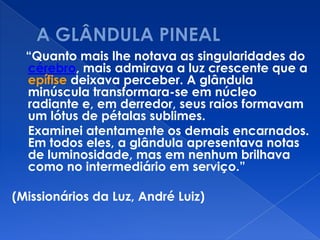 “Quanto mais lhe notava as singularidades do
cérebro, mais admirava a luz crescente que a
epífise deixava perceber. A glândula
minúscula transformara-se em núcleo
radiante e, em derredor, seus raios formavam
um lótus de pétalas sublimes.
Examinei atentamente os demais encarnados.
Em todos eles, a glândula apresentava notas
de luminosidade, mas em nenhum brilhava
como no intermediário em serviço.”
(Missionários da Luz, André Luiz)
 