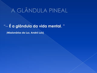 “-- É a glândula da vida mental. ”
(Missionários da Luz, André Luiz)
 