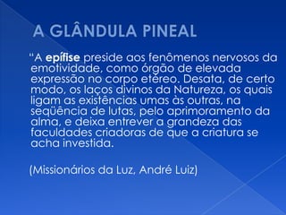 “A epífise preside aos fenômenos nervosos da
emotividade, como órgão de elevada
expressão no corpo etéreo. Desata, de certo
modo, os laços divinos da Natureza, os quais
ligam as existências umas às outras, na
seqüência de lutas, pelo aprimoramento da
alma, e deixa entrever a grandeza das
faculdades criadoras de que a criatura se
acha investida.
(Missionários da Luz, André Luiz)
 