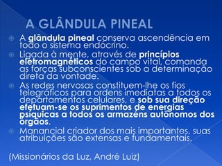  A glândula pineal conserva ascendência em
todo o sistema endócrino.
 Ligada à mente, através de princípios
eletromagnéticos do campo vital, comanda
as forças subconscientes sob a determinação
direta da vontade.
 As redes nervosas constituem-lhe os fios
telegráficos para ordens imediatas a todos os
departamentos celulares, e sob sua direção
efetuam-se os suprimentos de energias
psíquicas a todos os armazéns autônomos dos
órgãos.
 Manancial criador dos mais importantes, suas
atribuições são extensas e fundamentais.
(Missionários da Luz, André Luiz)
 