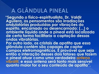 “Segundo o físico-espiritualista, Dr. Valdir
Aguilera, os pensamentos são irradiações
ondulatórias produzidas por vibrações do
espírito, encarnado ou desencarnado; (...) o
ambiente líquido onde a pineal está localizada
de certa forma facilitaria a captação dessas
ondas vibratórias.
Por outro lado, os cristais de apatita que essa
glândula contém são capazes de captar
campos eletromagnéticos. É provável que seja
então a interação desses dois fatores que fazem
a pineal atuar como uma verdadeira antena
vibrátil; e essa antena será tanto mais sensível
quanto maior for o seu conteúdo de apatita”.
 