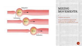 Pendular movements..
It is a sweeping movement of the
small intestine, resembling the
movements of a pendulum of a clock.
14
 