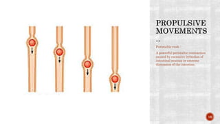 Peristaltic rush :
A powerful peristaltic contraction
caused by excessive irritation of
intestinal mucosa or extreme
distension of the intestine.
16
 