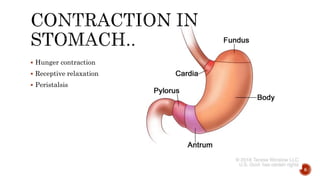  Hunger contraction
 Receptive relaxation
 Peristalsis
8
 