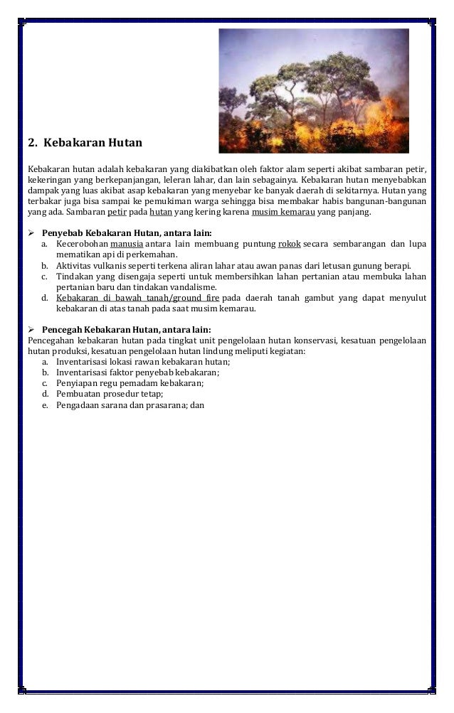 Kliping Bencana Alam Kebakaran Hutan Lukisan