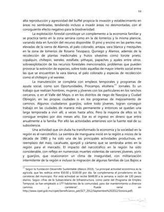Peritaje antropológico del caso guarijio de Sonora y la presa Los PIlares/Bicentenario