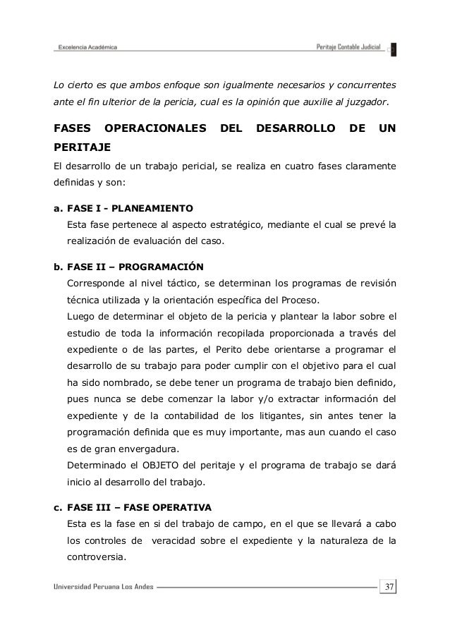 EJEMPLO DE Peritaje contable judicial