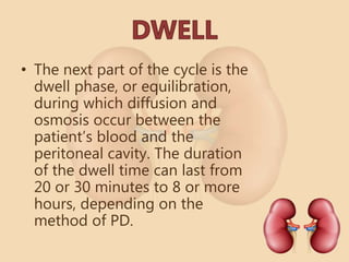 • The next part of the cycle is the
dwell phase, or equilibration,
during which diffusion and
osmosis occur between the
patient’s blood and the
peritoneal cavity. The duration
of the dwell time can last from
20 or 30 minutes to 8 or more
hours, depending on the
method of PD.
 